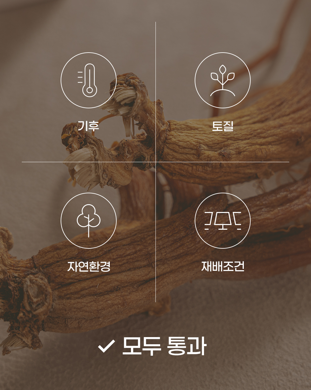 editor이미지