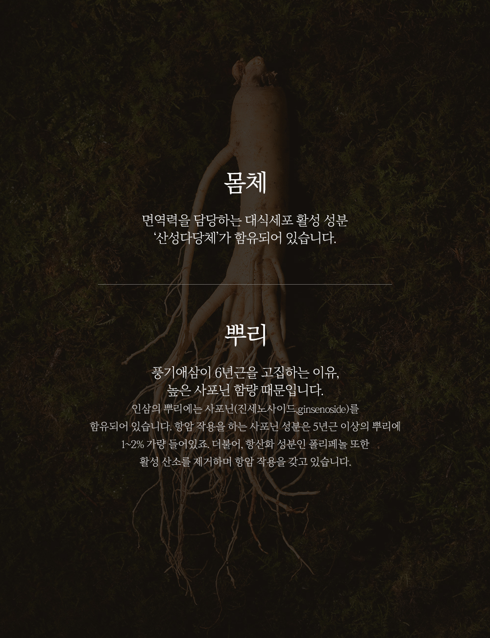 editor이미지