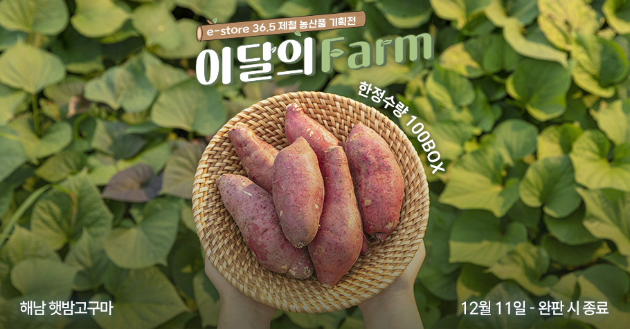 2024 이달의 Farm (고구마)