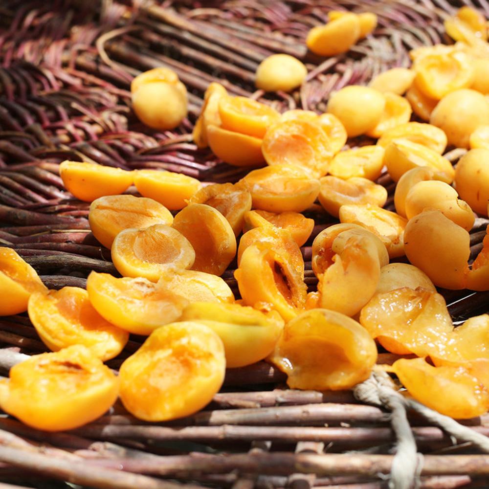 히말라야 미네랄 빙하수를 먹고 자란 건살구 25g