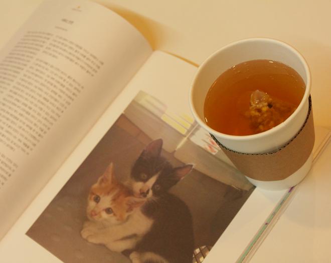 [이풀]감기에방에 좋은 약초 블렌딩티 2g의 휴식-이풀약초협동조합-차세대 판로플랫폼 스토어(STORE) 36.5