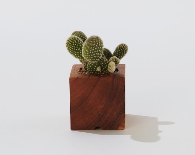 공정무역 미니사각우드화분-(주) 공기핸디크래프트-차세대 판로플랫폼 스토어(STORE) 36.5