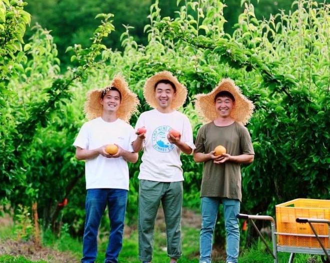 아기 배즙 팜메이드 먹골배 100% 착즙-팜아트홀릭 주식회사-차세대 판로플랫폼 스토어(STORE) 36.5