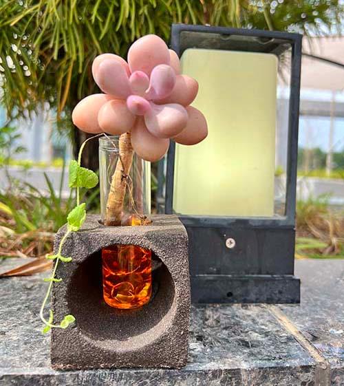 커피박실린더화분-(주)애플하우스-차세대 판로플랫폼 스토어(STORE) 36.5