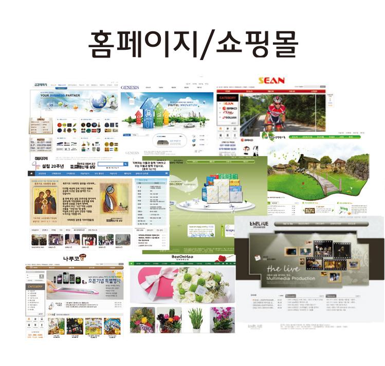 홈페이지 / 쇼핑몰 