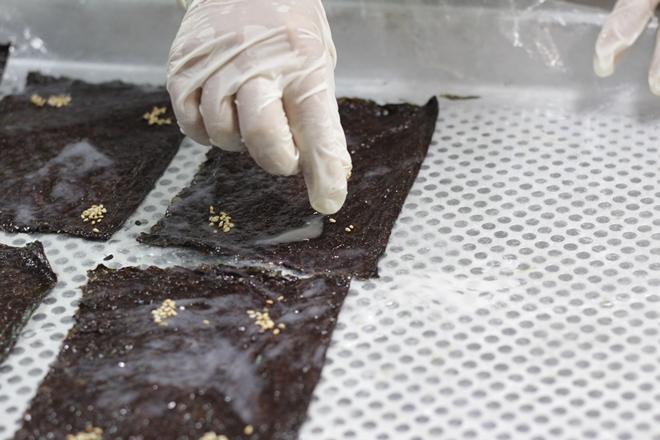 왈순아지매 김부각