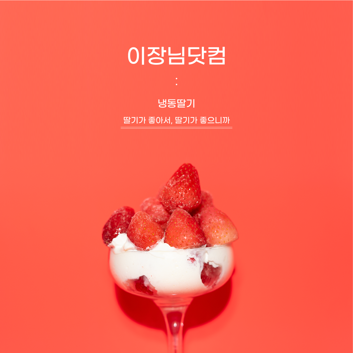 이장님냉동딸기3kg(1kgX3봉)-농업회사법인(주)이장님닷컴-차세대 판로플랫폼 스토어(STORE) 36.5