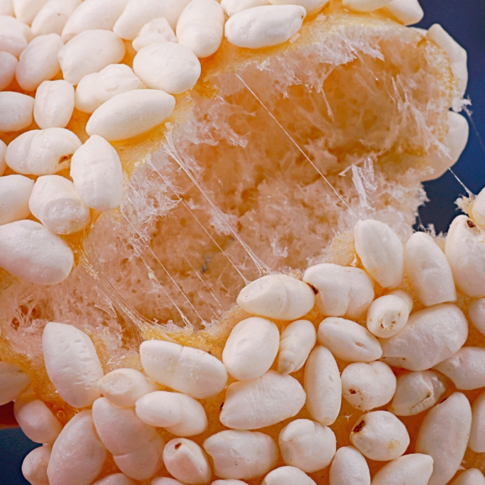 매실한과2호-백석올미영농조합법인-차세대 판로플랫폼 스토어(STORE) 36.5