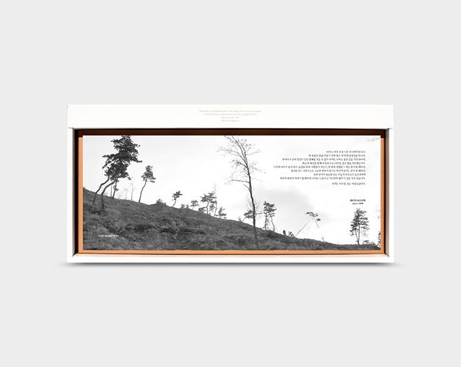 보나 아카시아 허니스틱 선물세트