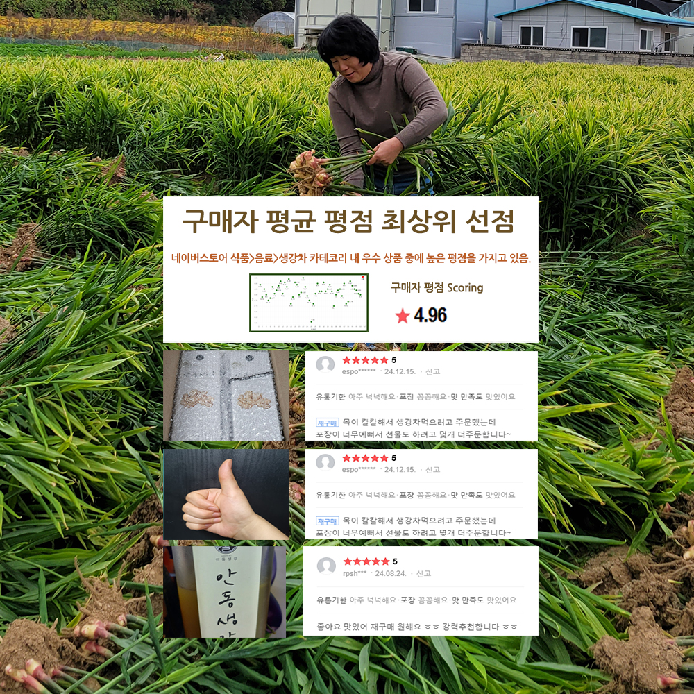 [지역상생]안동생강진액(2종세트)-농업회사법인안동반가주식회사-차세대 판로플랫폼 스토어(STORE) 36.5
