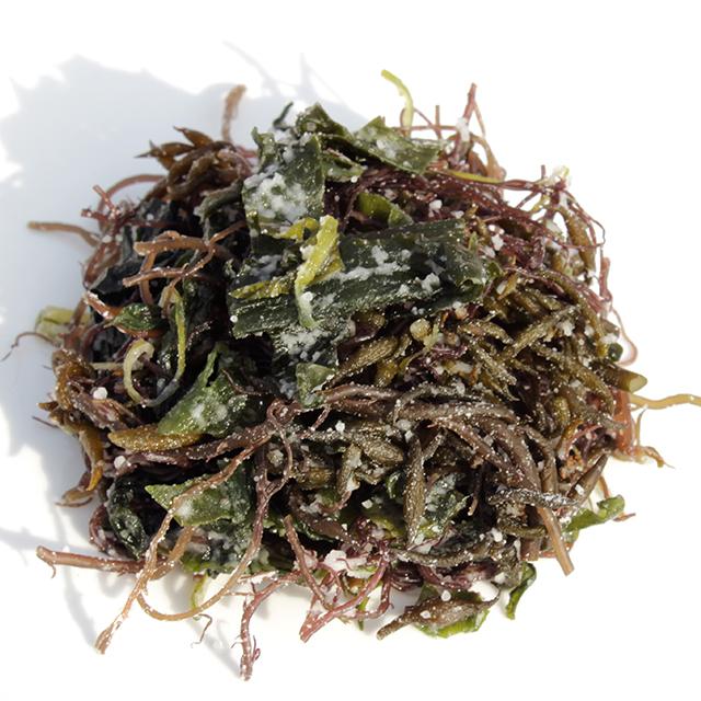 완도 염장모듬해초 200g 5팩