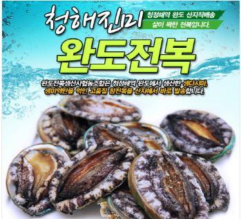 (설 선물세트)명품6호 1kg(7~8미)+고급선물가방-완도전복생산자협동조합-차세대 판로플랫폼 스토어(STORE) 36.5