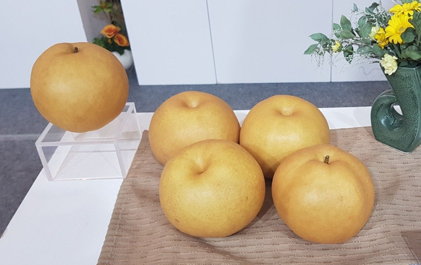 나주배 프리미엄