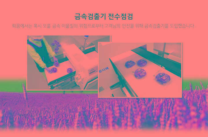 틔움긴생각 우리밀 땅콩쿠키