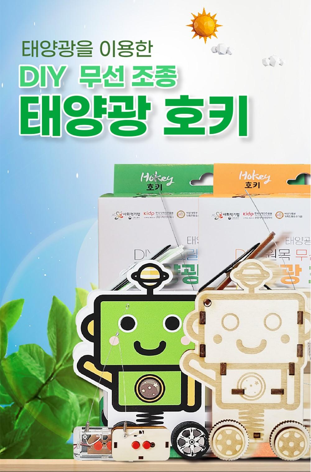 DIY 무선 조종 태양광 호키