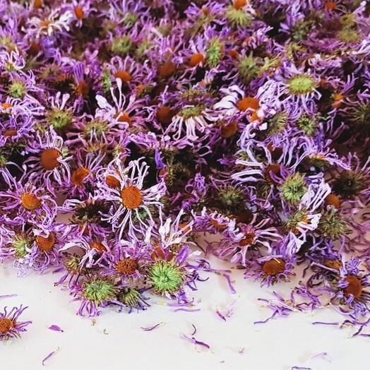 구절초맘 구절초꽃차티백세트-농업회사법인(주)백민구절초연구소-차세대 판로플랫폼 스토어(STORE) 36.5