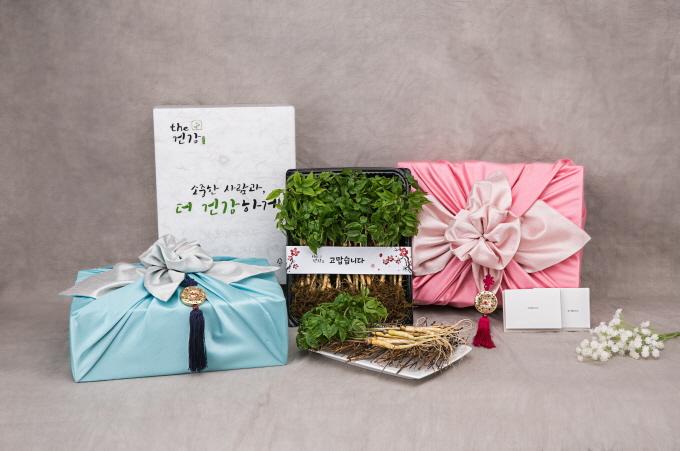 the건강 새싹인삼 (고급형)