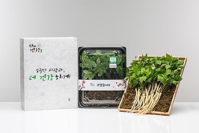 the건강 새싹인삼 (일반형)-더메이크사회적협동조합-차세대 판로플랫폼 스토어(STORE) 36.5