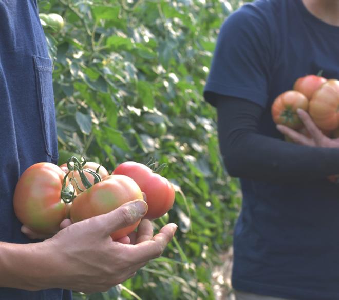 수제청 수제잼 팜메이드 선물세트(2종, 3종 선택)-팜아트홀릭 주식회사-차세대 판로플랫폼 스토어(STORE) 36.5