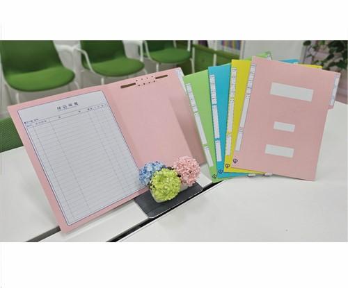 정부화일 지네발(1속*10매)1박스*300매(노,분,연,하)무료배송