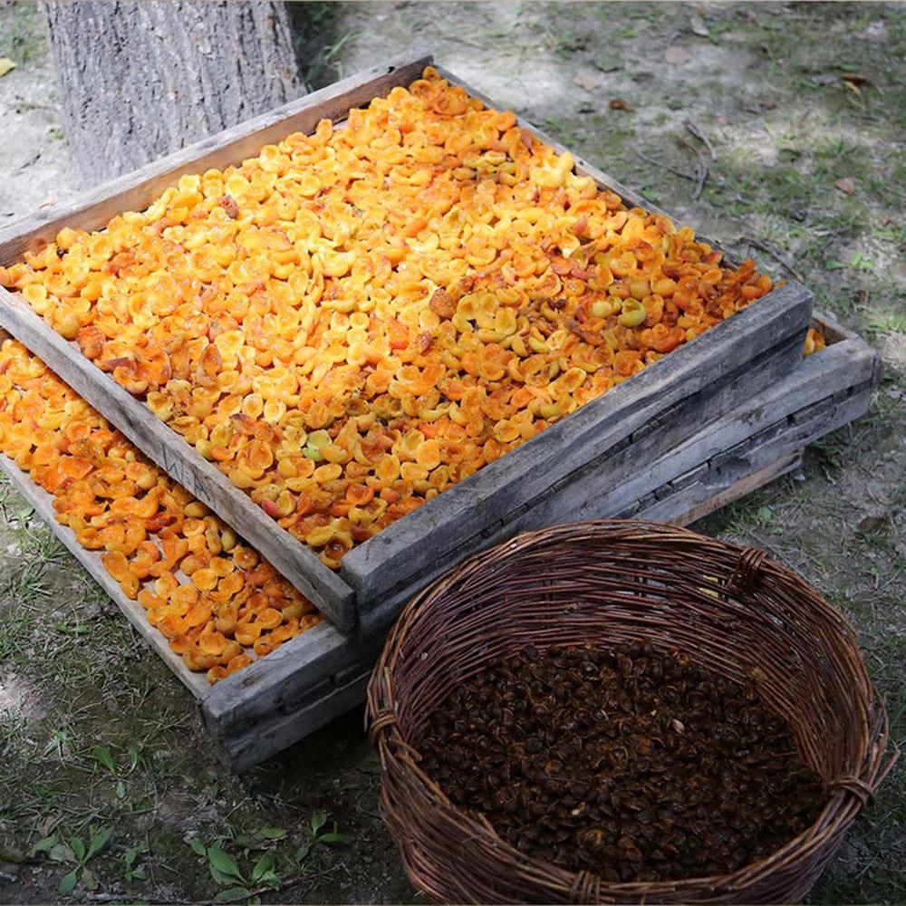 반가워 공정무역 살구잼 키트