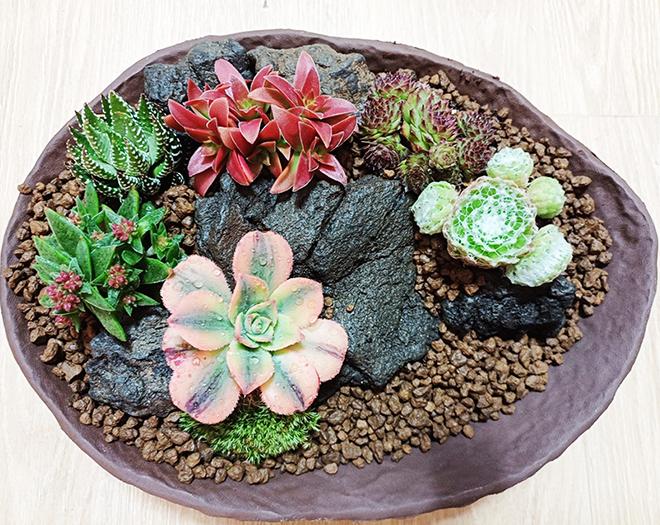 찾아가는 힐링숲원예 -계수나무(주)-차세대 판로플랫폼 스토어(STORE) 36.5