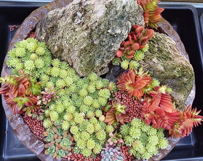 찾아가는 힐링숲원예 -계수나무(주)-차세대 판로플랫폼 스토어(STORE) 36.5