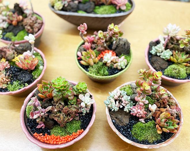 찾아가는 힐링숲원예 -계수나무(주)-차세대 판로플랫폼 스토어(STORE) 36.5