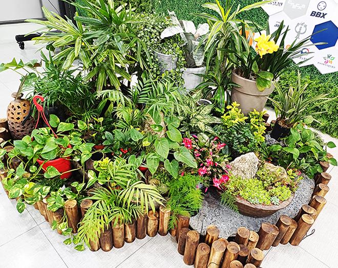 화분관리 출장서비스