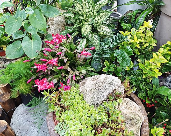 화분관리 출장서비스-계수나무(주)-차세대 판로플랫폼 스토어(STORE) 36.5