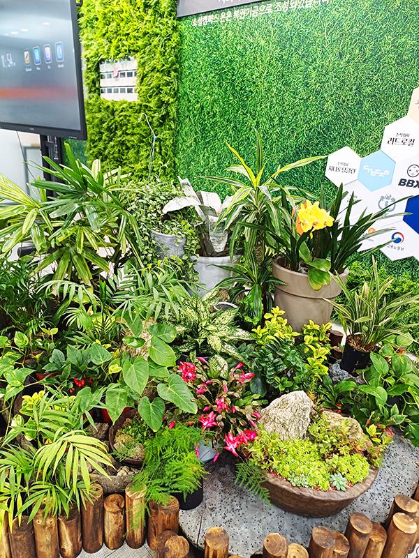 화분관리 출장서비스-계수나무(주)-차세대 판로플랫폼 스토어(STORE) 36.5