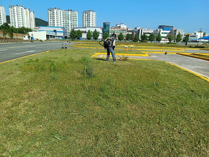 예초 및 방재(전지+전정포함)-계수나무(주)-차세대 판로플랫폼 스토어(STORE) 36.5