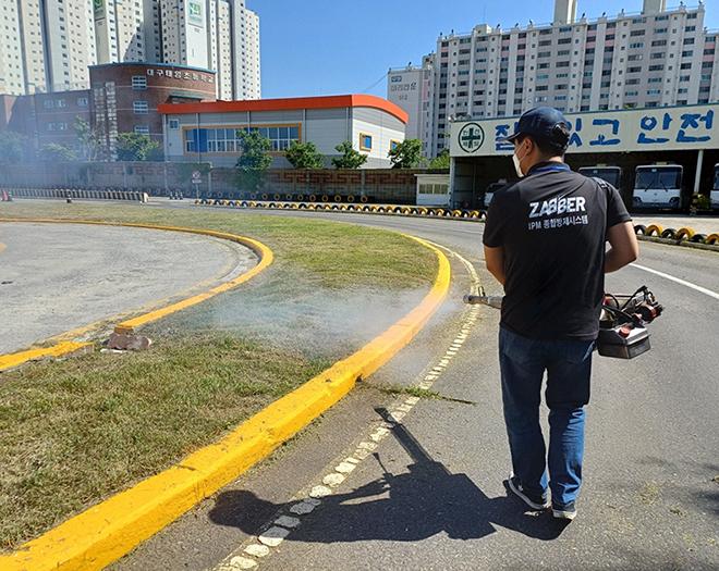 예초 및 방재(전지+전정포함)-계수나무(주)-차세대 판로플랫폼 스토어(STORE) 36.5