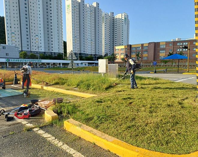 예초 및 방재(전지+전정포함)-계수나무(주)-차세대 판로플랫폼 스토어(STORE) 36.5