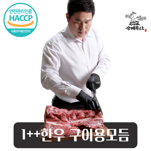 [승혜축산] 한우 1++등급 400g 구이용모듬 로스용 선물세트