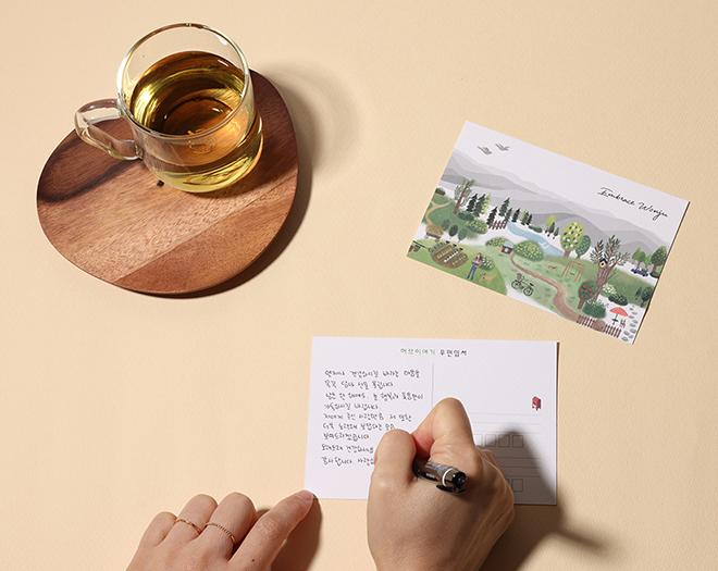 폴인허브 4종 세트 티백-협동조합 허브이야기-차세대 판로플랫폼 스토어(STORE) 36.5