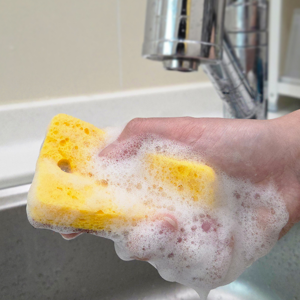 천연 통수세미 2P 코코넛 수세미 2P 세트 플라스틱제로 제로웨이스트 주방용품-주식회사 아트앤허그-차세대 판로플랫폼 스토어(STORE) 36.5