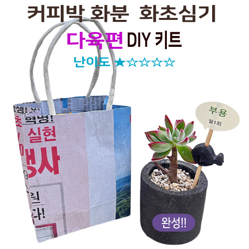 커피박 화분 다육화초심기 diy 키트