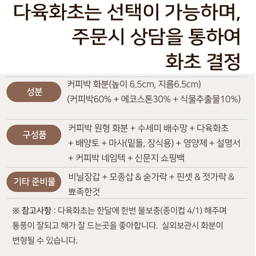 커피박 화분 다육화초심기 diy 키트-(주)애플하우스-차세대 판로플랫폼 스토어(STORE) 36.5
