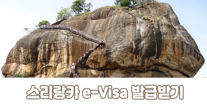 editor이미지