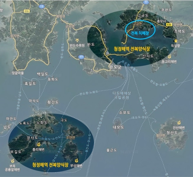editor이미지