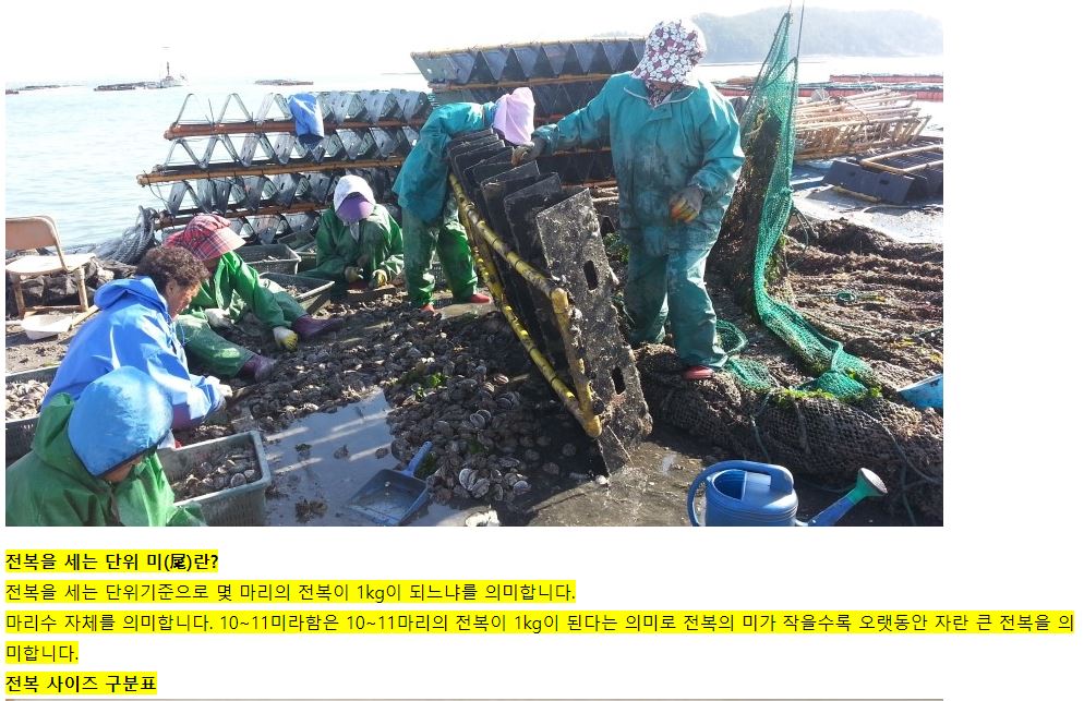 editor이미지