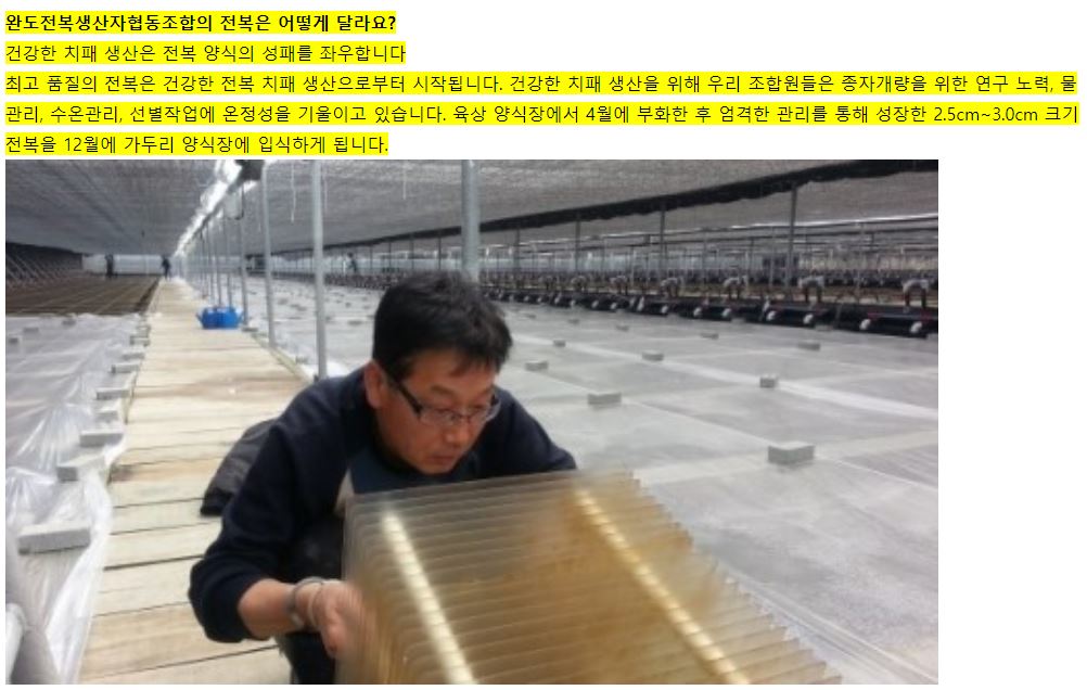 editor이미지