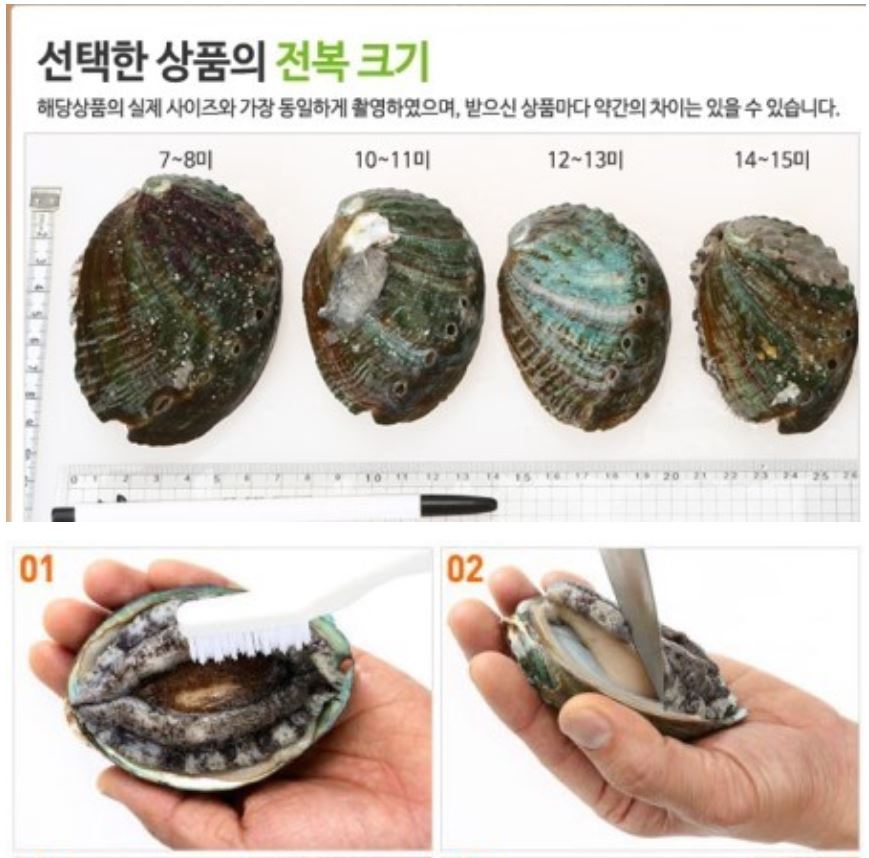 editor이미지