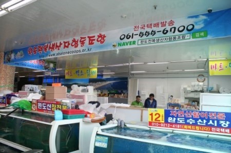 editor이미지