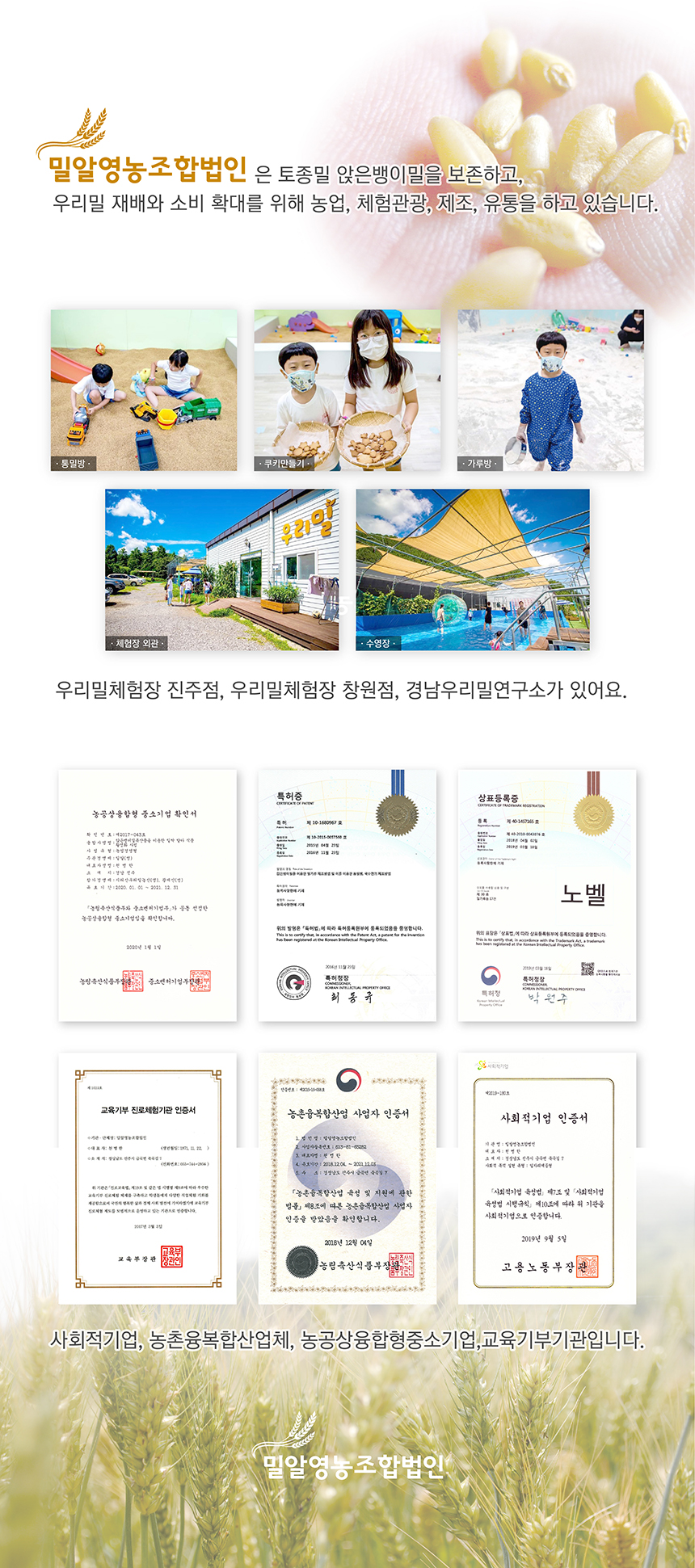 editor이미지