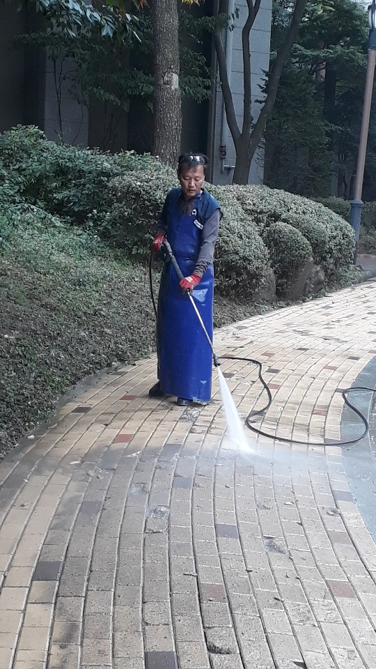 editor이미지