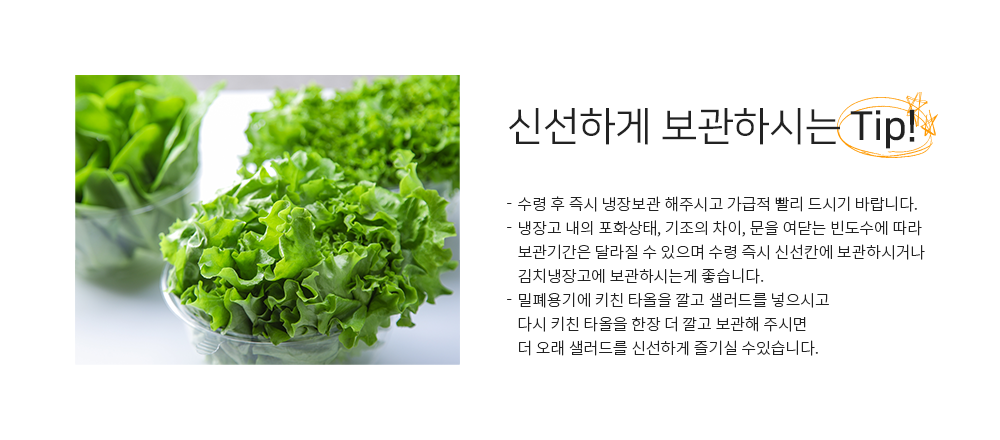 editor이미지