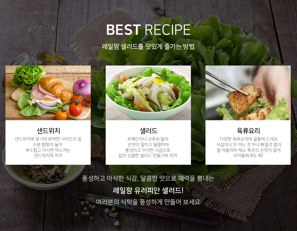 editor이미지