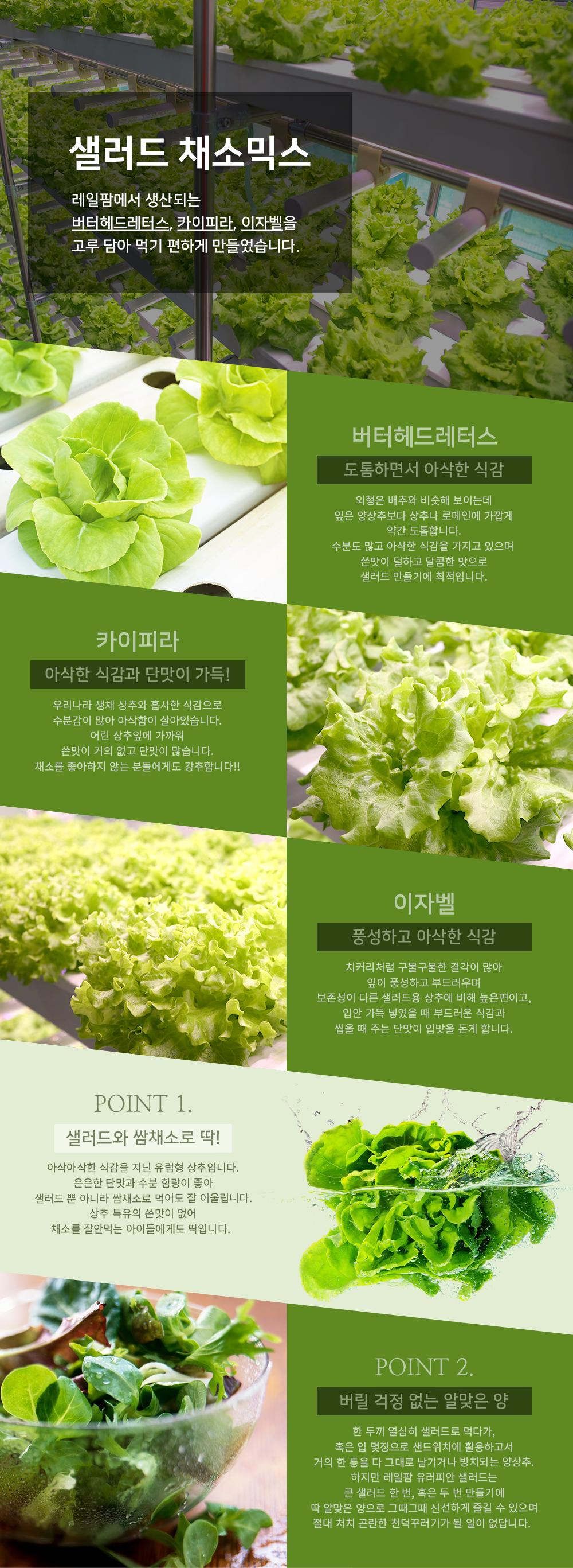 editor이미지